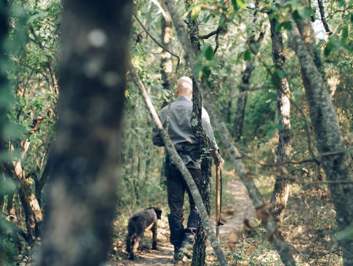 Cercatore di tartufi con il suo cane in un bosco toscano — immagine del sito TopTruffle.